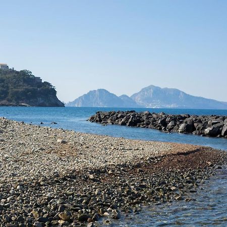 Estate4Home - Sea Beauty Massa Lubrense Eksteriør billede