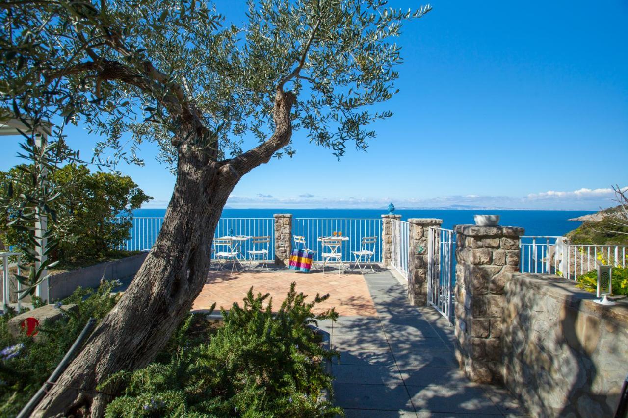 Estate4Home - Sea Beauty Massa Lubrense Eksteriør billede